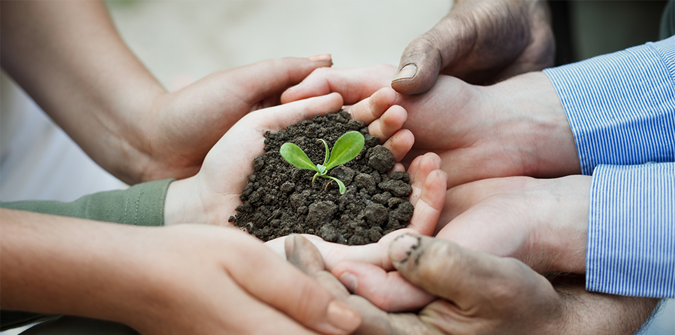 Pictured:  Diverse hands hold a tender, sprouting plant in rich soil